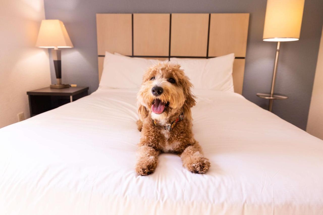 Sonesta Simply Suites Charlotte University Exteriör bild